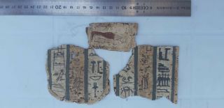 An Egyptian Pharaonic Cartonagge Fragments