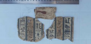 An Egyptian Pharaonic Cartonagge Fragments 3