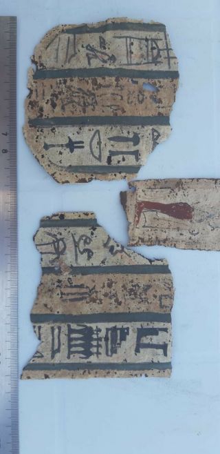 An Egyptian Pharaonic Cartonagge Fragments 4