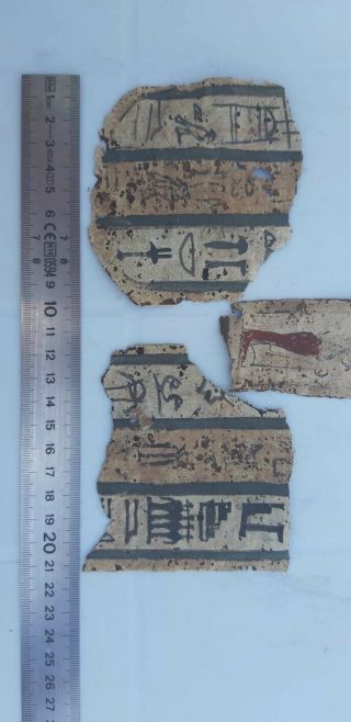 An Egyptian Pharaonic Cartonagge Fragments 5