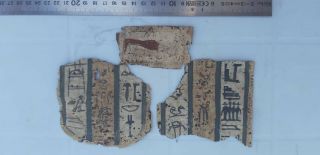 An Egyptian Pharaonic Cartonagge Fragments 7