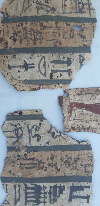 An Egyptian Pharaonic Cartonagge Fragments 9