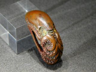 Rare Octopus Kurigata 18 - 19thc Japanese Edo Samurai Tsuba Antique