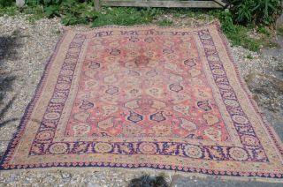 Antique Persian Rug Paisley Pattern In Rose Pink 8ft Large C.  1900 
