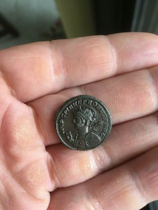 Ancient Roman Coin Probus Antoninianus Au Rare Example