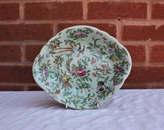 19th Century Chinese Famille Rose Canton Celadon Plate