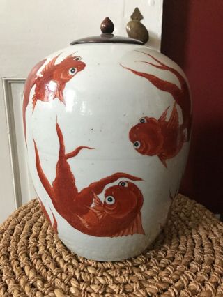 Antique Vintage Chinese Porcelain Koi Fish/goldfish Jar Ginger Jar W/ Wooden Lid