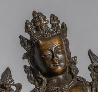 West Nepal/Back Tibetan Antique Bronze Buddha 6