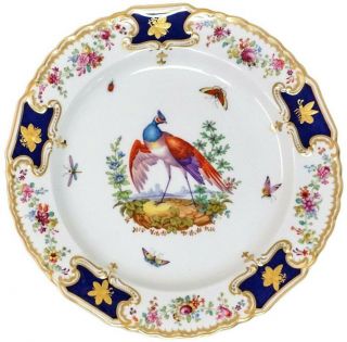 Antique Copeland Spode C200 Exotic Bird Cobalt & Gold Insects Porcelain Plate - B