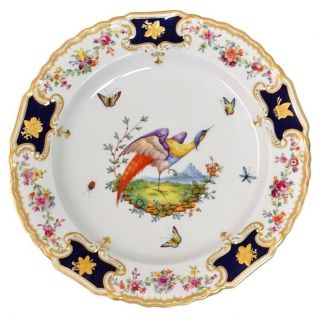 Antique Copeland Spode C200 Exotic Bird Cobalt & Gold Insects Porcelain Plate - A