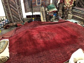 Auth: 19th C Antique Amritsar Agra Mughal RARE Masterpiece Royal Red 10x14 NR 10