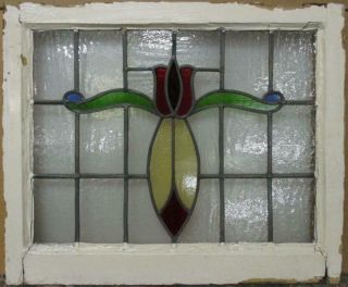Midsize Old English Leaded Stained Glass Window Gorgeous Tulip 25 " X 20.  75 "