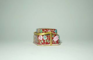 A Chinese Canton Enamel Hand Warmer and Cover 5