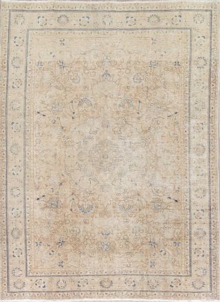 Antique Muted Beige Brown Persian Oriental Area Rug Distressed Faded Wool 8x11