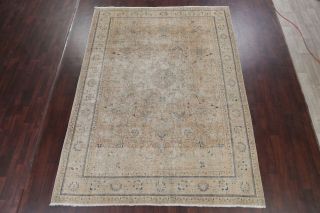 Antique MUTED Beige Brown Persian Oriental Area Rug Distressed FADED Wool 8x11 2
