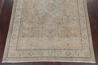 Antique MUTED Beige Brown Persian Oriental Area Rug Distressed FADED Wool 8x11 5