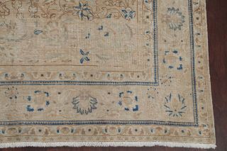 Antique MUTED Beige Brown Persian Oriental Area Rug Distressed FADED Wool 8x11 6