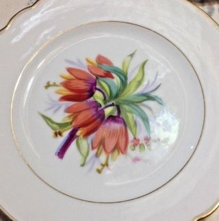 Six Antique Old Paris Porcelain Plates W Hand - Painted Flowers