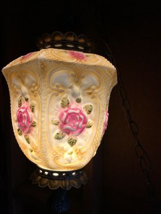 Antique Large Flower Hand Painted Glass Globe Pendant Light Fixture
