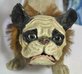 Antique Paper Mache French Bulldog Growler/Nodder Barking/Mechanism/Wood Wheels 5