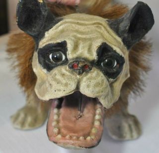 Antique Paper Mache French Bulldog Growler/Nodder Barking/Mechanism/Wood Wheels 6