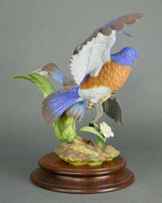 Fine Vtg German Bisque Porcelain Hutschenreuther G.  Granget Blue Bird Sculpture 7