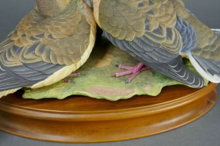 Fine Vtg German Bisque Porcelain Hutschenreuther G.  Granget Dove Bird Sculpture 9