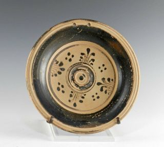 Ancient Messapian Plate - Canosa - Apulian Antiquities - Greek