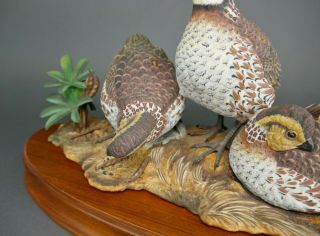 Fine Vtg German Bisque Porcelain Hutschenreuther G.  Granget Quail Bird Sculpture 4