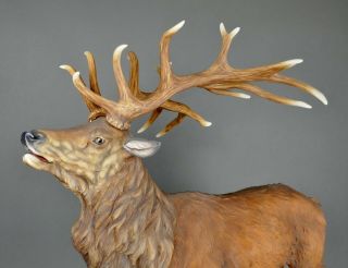 Fine Vtg German Bisque Porcelain Hutschenreuther G.  Granget Stag Deer Sculpture 2