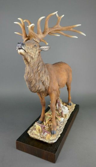 Fine Vtg German Bisque Porcelain Hutschenreuther G.  Granget Stag Deer Sculpture 6