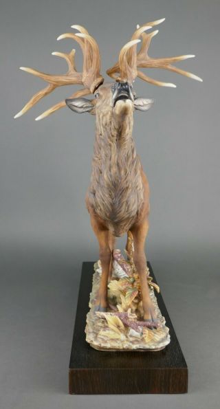 Fine Vtg German Bisque Porcelain Hutschenreuther G.  Granget Stag Deer Sculpture 7