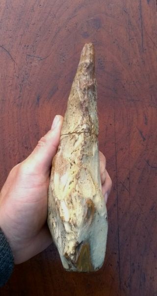 Rare,  Very Large Palaeolithic Flint ' Ficron ' Handaxe From Norfolk England 8