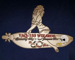 VAQ - 133 WIZARDS Coin 50th Anniversary Pin - up 2