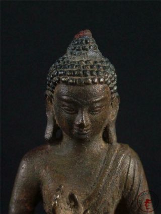 Large Old Chinese Tibet Bronze Tibetan Buddha Sakyamuni Statue Qing Dynasty 5