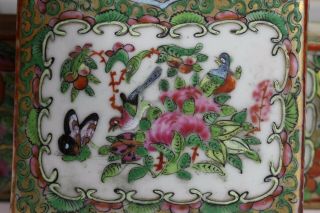 19th century,  A rare ‘canton famille rose’ chinese porcelain box and cover 7