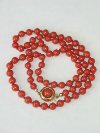 Natural Red Knotted Coral Necklace With 14 Ct.  Gold Clasp Rare Ca.  1900