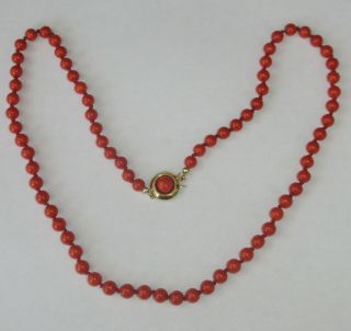 Natural red knotted Coral necklace with 14 ct.  GOLD CLASP rare ca.  1900 4