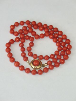 Natural red knotted Coral necklace with 14 ct.  GOLD CLASP rare ca.  1900 5