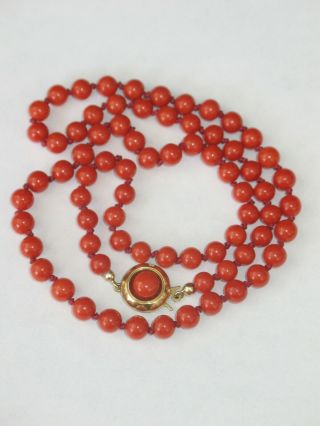 Natural red knotted Coral necklace with 14 ct.  GOLD CLASP rare ca.  1900 6