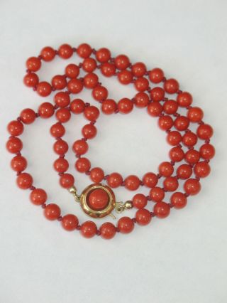 Natural red knotted Coral necklace with 14 ct.  GOLD CLASP rare ca.  1900 7