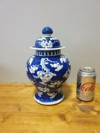 Fine Quality Rare Chinese 19th Century Porcelain Jar / Vase Kangxi Mark