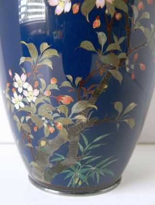 Signed JAPANESE silver wire CLOISONNÉ vase HAYASHI KODENJI,  or in the manner of 2