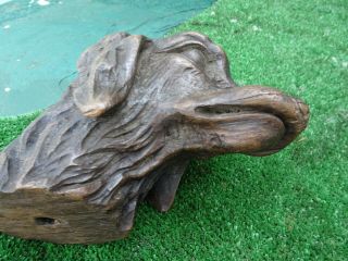 STUNNING MID 19thC BLACK FOREST WOODEN OAK DOGS HEAD CARVED CORBEL c1860s 12