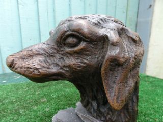 Stunning Mid 19thc Black Forest Wooden Oak Dogs Head Carved Corbel C1860s