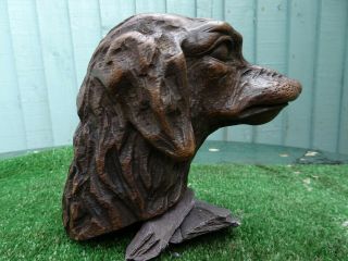 STUNNING MID 19thC BLACK FOREST WOODEN OAK DOGS HEAD CARVED CORBEL c1860s 3