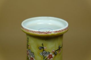 A Chinese Famille rose Porcelain Vase. 10