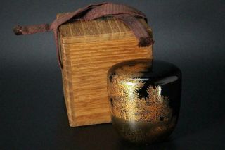 Sgo12 Japanese Wooden Gold Pine Makie Black Lacquer Natsume Tea Caddy Sado