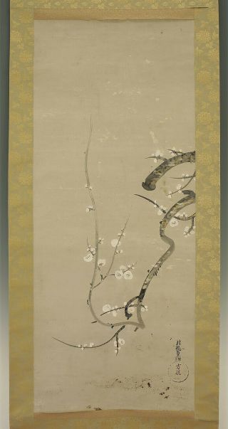 掛軸1967 Japanese Hanging Scroll : Ogata Korin " Ume Tree " @b846