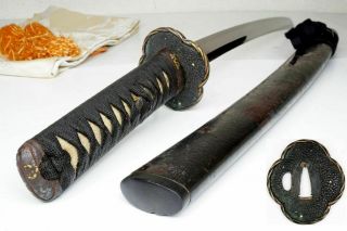 Authentic Antique Japanese Wakizashi Sword Samurai Shinken真剣 Katana Nihonto